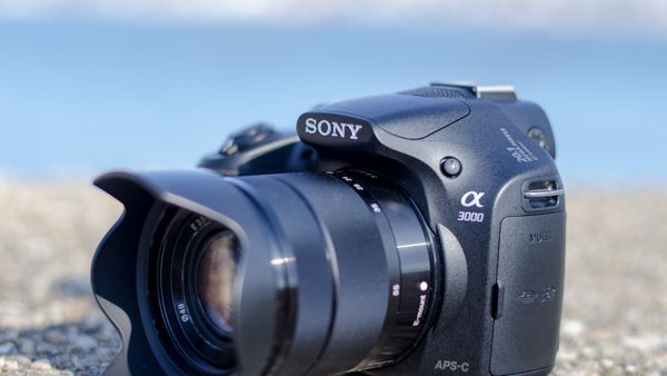 Ini Update Harga Kamera Sony Terbaru Mulai dari Mirrorless hingga DSLR