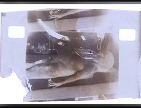 Video Rekaman Autopsi Alien Tahun 1947 Dilelang Rp14 Miliar