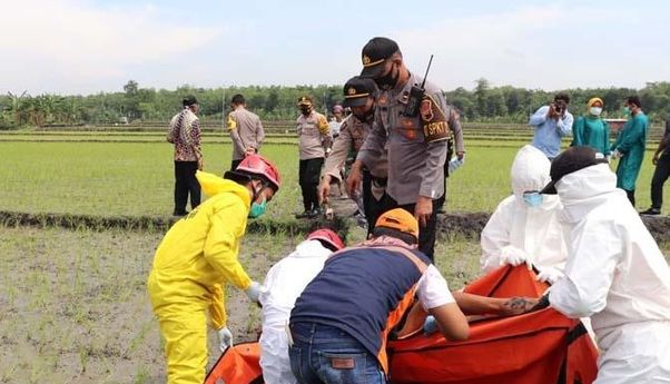 Berita Seputar Jateng: Pemasang Jebakan Tikus Listrik di Sragen Terancam Dipidana