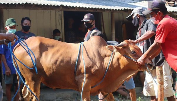 Jelang Idul Adha, Pemkot Jaktim Imbau Masyarakat Tak Buang Limbah Hewan Kurban ke Saluran Air