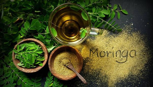 Ragam Manfaat Daun Kelor untuk Kecantikan, Salah Satunya Cegah Penuaan Dini