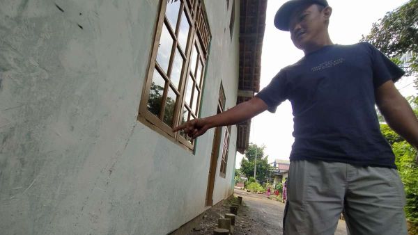 Mengejutkan! Miliaran Semut Serbu Warga Desa Pageraji Banyumas, Aktivitas Penderes Terganggu