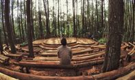 Kesegaran Hutan Pinus Pengger dan Rute Menuju Lokasi