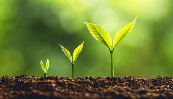 Analisis Pertumbuhan BUMN Indonesia di Masa Erick Thohir Analisis Pertumbuhan BUMN Indonesia di Masa Erick Thohir