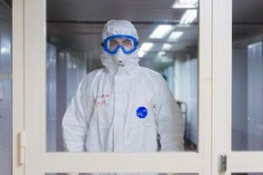 Kasus Flu Burung di Korea Selatan Bertambah, Total Jadi 27 Kasus