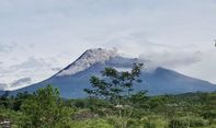 Update Gunung Merapi: Luncurkan Awan Panas hingga 1,9 Kilometer