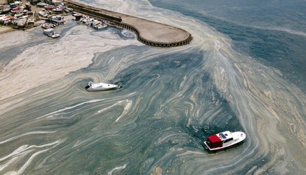 Inilah Ingus Laut yang Melumpuhkan Destinasi Wisata Andalan Turki Bahkan Tanpa Pandemi