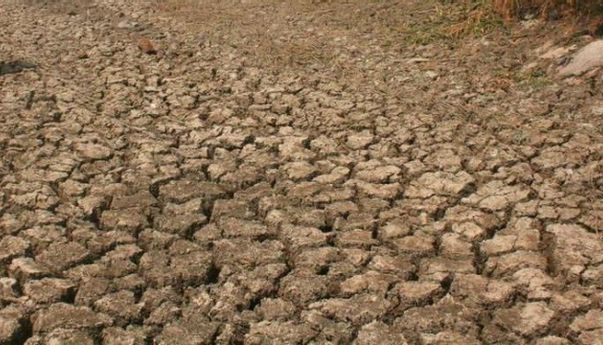 Kepala BPBD Gunungkidul: Enam Kecamatan Terpapar Kekeringan