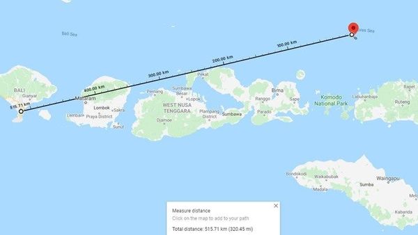 Berita Gempa Terbaru: Gempa Bumi Mengguncang Laut Flores Pagi Ini, Getaran Terasa di Bali