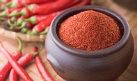 KWT Kretek Kulonprogo Akui Covid-19 Membuat Produksi Olahan Cabe Menurun