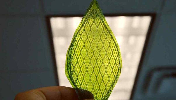 Kelompok Ilmuwan Inggris Berhasil Bikin Bahan Bakar Artifisial dari Daun