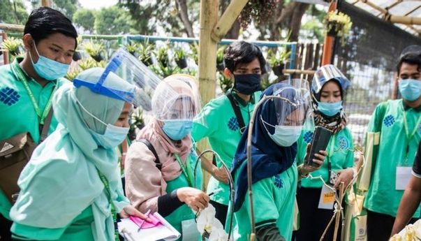 Berita Terkini: Kejanggalan Program Kartu Prakerja Menurut Peneliti ICW