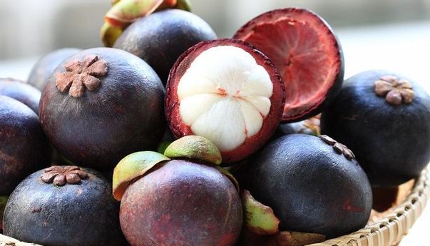 Penting Bagi Ibu Hamil! Ini 4 Manfaat Mengonsumsi Buah Manggis