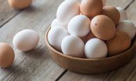 Harga Telur Ayam Anjlok, Ini Sebabnya