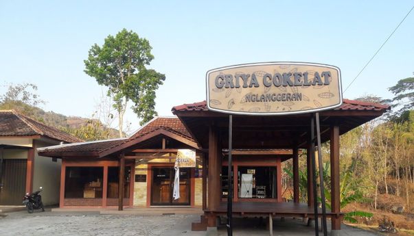 Griya Cokelat Nglanggeran dan Upaya Mengangkat Potensi Kakao di Gunungkidul