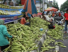 Berita Jogja: Pemkot Yogyakarta Tertibkan Pedagang Luberan di Pasar Tradisional