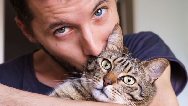 Pecinta Kucing, Inilah Hal yang Dibenci Hewan Kesayanganmu
