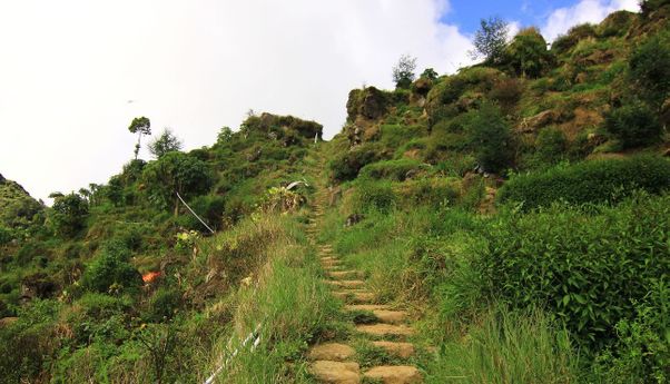 Berita Jateng: Pendaki Temukan Situs Kuno di Dataran Tinggi Dieng