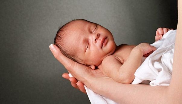 Daftar Nama Bayi Keren yang Diambil dari Nama Ilmiah Hewan dan Tumbuhan