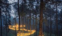 Inilah Rute ke Orchid Forest Lembang, Hutan Pinus dengan Ratusan Koleksi Anggrek