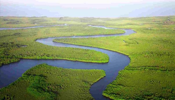 Penjelasan Pola Aliran Sungai Lengkap dengan Jenisnya