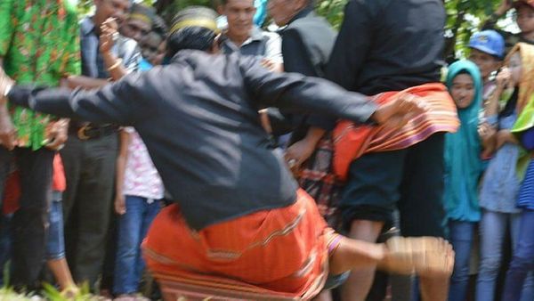 Mappalanca: Tradisi Ekstrim Adu Betis yang Tinggi Nilai Luhur
