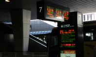 Jepang Minta Warganya 'Pulang Kampung' dari Indonesia, Siapkan Penerbangan Khusus