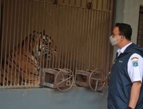 BPK Temukan Hal Mencurigakan di Kantornya Anies Baswedan, Setelah Diperiksa Ada Pemborosan Saat Beli Masker