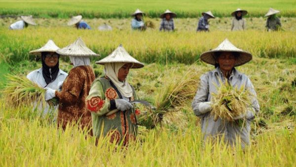 Berita Jogja: Mayoritas Petani, Aliran Air Bersih Sangat Penting untuk Warga Wonorejo