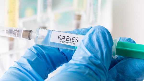 Cara Penularan Rabies Dari Manusia ke Manusia yang Perlu Anda Waspadai