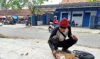 Berita Jateng: Kisah Darmawan, Pria Tegal yang Kontrak Rumah Demi Kucing Jalanan