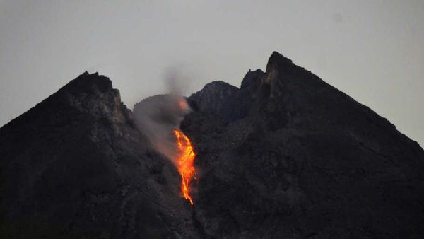 Tiga Kali, Guguran Lava Sejauh 400-500 Meter Dimuntahkan Gunung Merapi