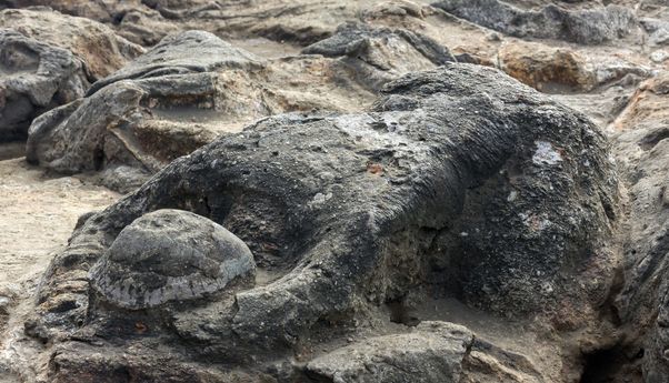 3 Fakta Batu Malin Kundang Legenda si Anak Durhaka dari Padang