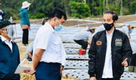 Ucapan Luhut 'Varian Delta Tak Bisa Dikendalikan' Disindir Susi Pudjiastuti dan Bikin Riuh Medsos