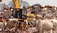 Berita Jogja: TPA Piyungan Melebihi Kapasitas, Sleman Berencana Bangun Pengolahan Sampah