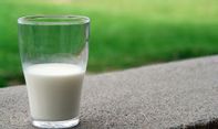 Benarkah Susu dapat Netralisir Racun dalam Tubuh?