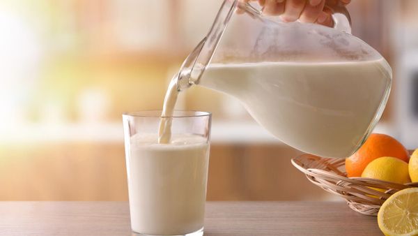 5 Manfaat Susu Kambing Etawa Ini Sangat Jarang Diketahui Konsumen