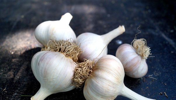 Bawang Putih Viral Diklaim Dapat Keluarkan Lendir dari Paru-paru Akibat COVID-19, Benarkah?