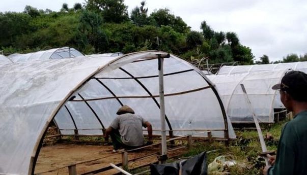 Ini Alasan Petani Garam Gunungkidul Tolak Kebijakan Impor