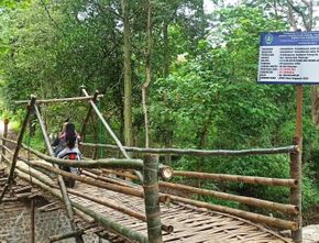Fakta-Fakta Jembatan Bambu Rp200 Juta di Ponorogo yang Pakai Dana APBD