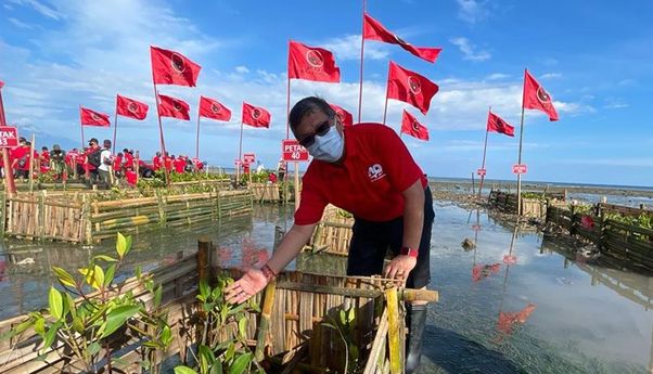 Peringatan HUT Megawati, PDIP Tanam Pohon di Bantaran Sungai Surabaya