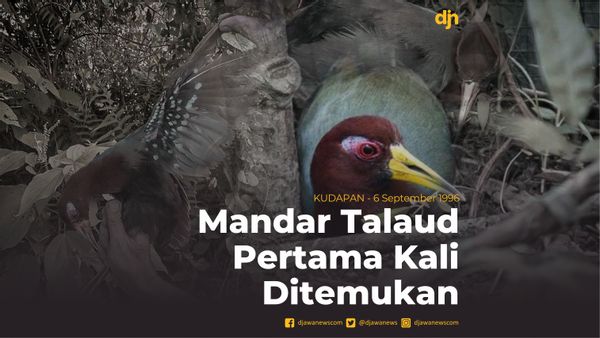 Mandar Talaud Pertama Kali Ditemukan