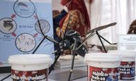 DBD di Bandung Tertinggi di Indonesia, Kemenkes Siapkan 5,4 Juta Telur Nyamuk Wolbachia per Pekan