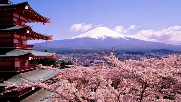 Simak Beberapa Tips Liburan Murah ke Jepang yang Wajib untuk Dicoba