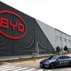 Investasi Pabrik BYD di Indonesia Capai Rp16 Triliun, Perkuat Industri Kendaraan Listrik