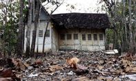 Terbengkalai, Rumah Tua di Tengah Kebun Jati Ternyata Jadi Saksi Sejarah Gunungkidul dan Simpan Hal Mistis