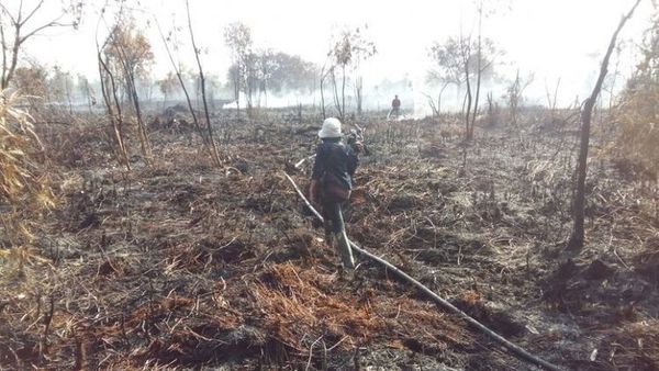 Berita Seputar Jateng: Polisi Bakal Tindak Tegas Pelaku Pembakaran Hutan di Sukoharjo