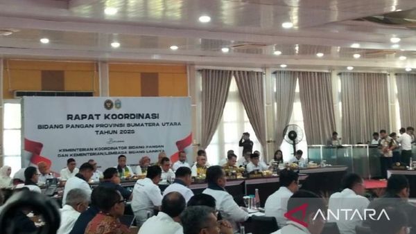 Pemerintah Pusat Sediakan 4 Juta Dosis Vaksinasi PMK, Wamentan Imbau Pemda Anggarkan Vaksin