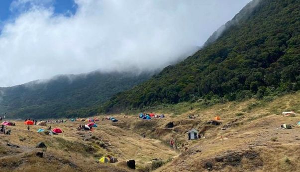 BBTNGGP Terapkan Sanksi Tegas, Pendaki Nakal di Gunung Gede-Pangrango Bakal Masuk Daftar Hitam