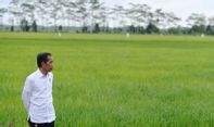 Apa Itu 'Food Estate'? Berikut Penjelasan dari Guru Besar ITB